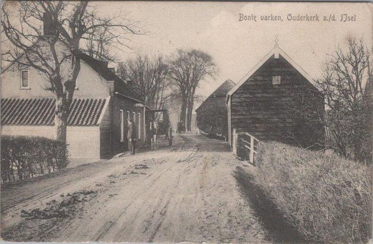 OUDEKERK A./D. IJSSEL - Bonte varken, Verzamelen, Ansichtkaarten | Nederland, Verzenden