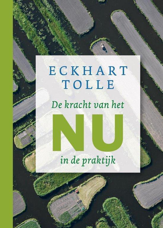 Boek De kracht van het nu in de praktijk 9789020212983, Boeken, Overige Boeken, Zo goed als nieuw, Verzenden
