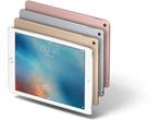 Apple iPad Pro - 9,7 inch - WiFi - 256GB - Roségoud, Computers en Software, Apple iPads, Verzenden, Zo goed als nieuw