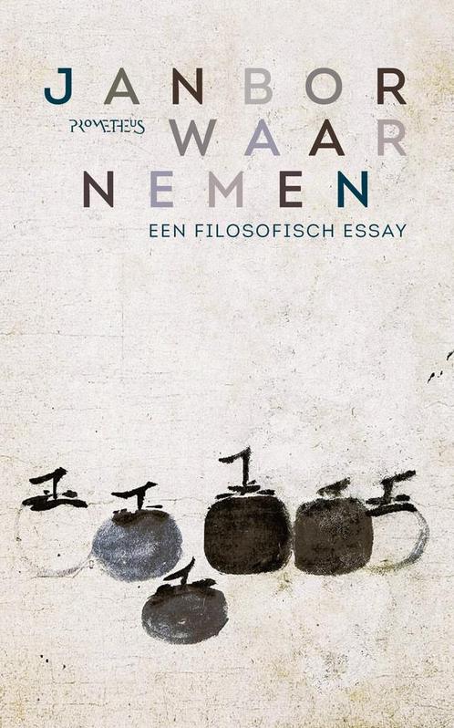 Waarnemen (9789044655247, Jan Bor), Boeken, Filosofie, Nieuw, Verzenden