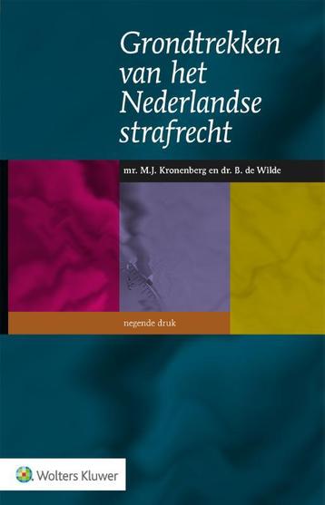 Grondtrekken van het Nederlandse strafrecht, 9789013166170