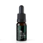 Dutch Hemp CBD olie broad spectrum 5% 10 ml 500 mg CBD, Verzenden, Nieuw