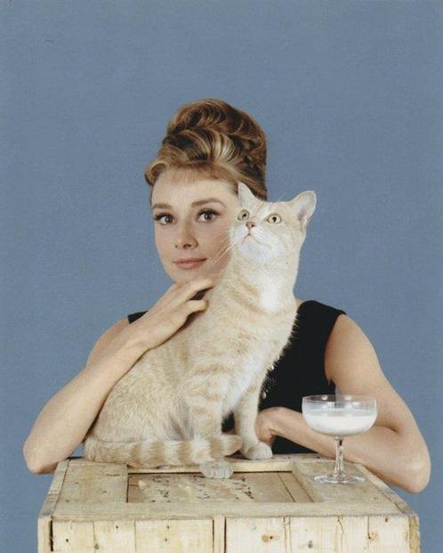 Howell Conant - Audrey Hepburn Breakfast at Tiffanys,, Antiek en Kunst, Kunst | Schilderijen | Modern