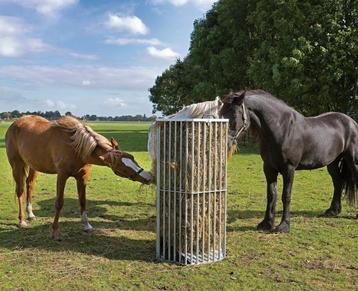 Weide paardenruif voor los hooi