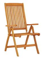 2x Opvouwbare Eucalyptus Tuinstoelen – Verstelbaar Hout, Verzenden, Nieuw