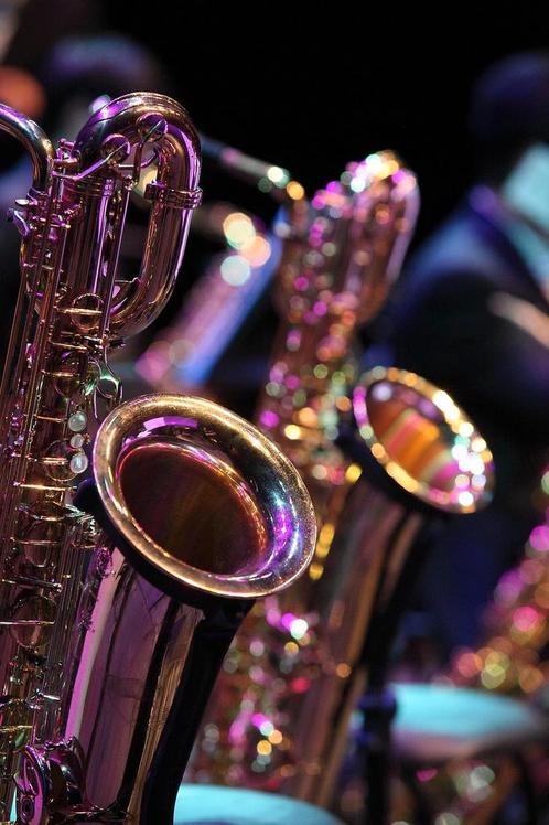 Volledige Saxofoon Revisie - Bariton, Muziek en Instrumenten, Blaasinstrumenten | Saxofoons, Ophalen of Verzenden