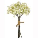 Gipskruid dry color cream 29cm bundel  voor corsage of, Ophalen of Verzenden, Nieuw