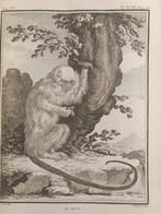 Georges Louis, Comte de Buffon / De Sève - Histoire