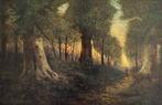 J Williamson (XlX) - A figure on a woodland path at sunset