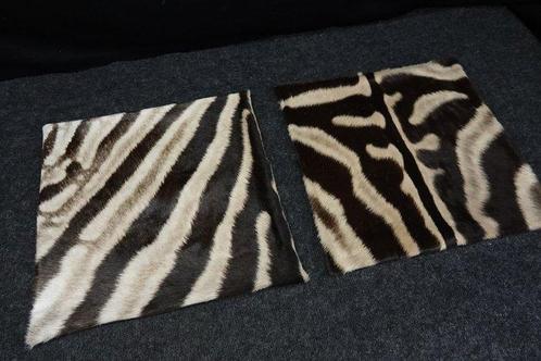 real zebra skin covers - Kussen (2), Verzamelen, Dierenverzamelingen