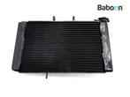 Radiateur Triumph Tiger 800  (VIN: <674841), Verzenden, Gebruikt