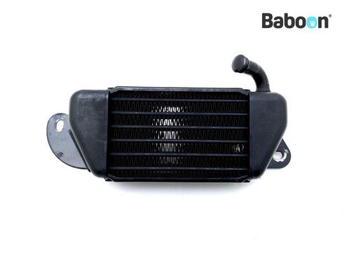 Oliekoeler BMW R 1200 C (R1200C 03) Left (1342207), Motoren, Onderdelen | BMW, Gebruikt, Verzenden