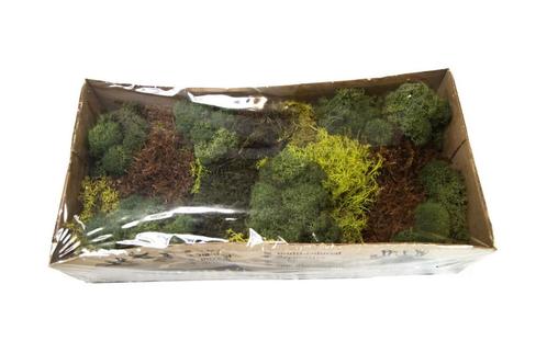 Mos mix – mosgroen grotere verpakking voor bloemschikken en, Hobby en Vrije tijd, Knutselen, Nieuw, Ophalen of Verzenden