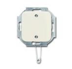 ABB Busch-Jaeger SI Installatie Schakelaar - 2CKA001315A0423, Verzenden, Nieuw, Overige typen