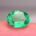 Zonder minimumprijs Groen Smaragd - 1.60 ct - nternational, Nieuw