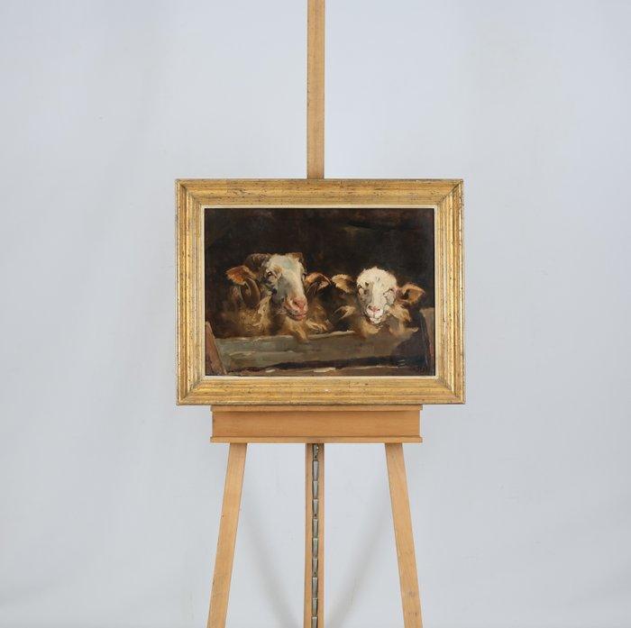 Willem Hendrik van der Nat (1864–1929) - Twee schapen, Antiek en Kunst, Kunst | Schilderijen | Klassiek