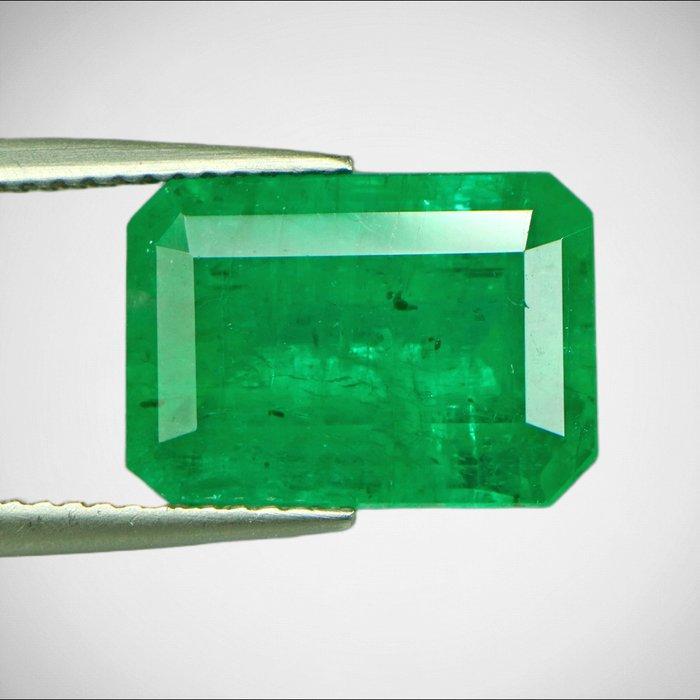 1 pcs Groen Smaragd - 7.01 ct - Guild Gem Laboratory -, Sieraden, Tassen en Uiterlijk, Edelstenen