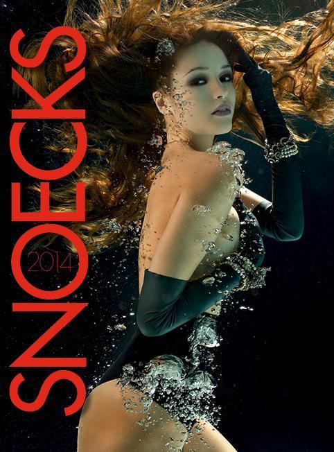 Snoecks 2014 9789077885277, Boeken, Kunst en Cultuur | Beeldend, Gelezen, Verzenden