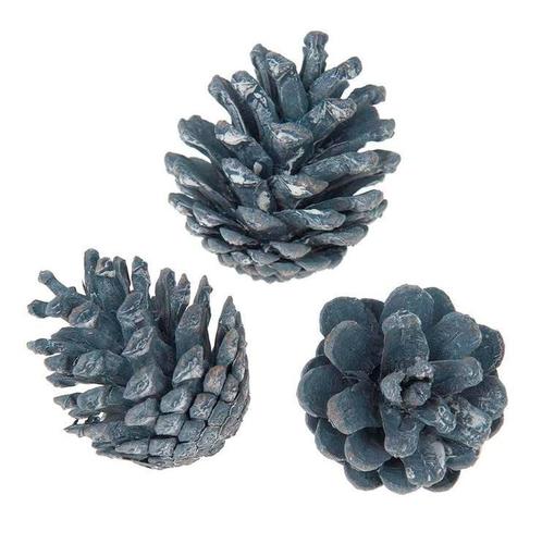 Oostenrijker denneappel pinus nigra blue wash 6 st! zeer, Hobby en Vrije tijd, Knutselen, Nieuw, Ophalen of Verzenden
