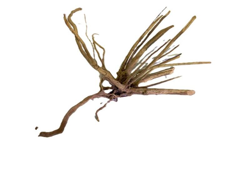 Driftwood Selected  DW56 - 40x25x17cm (Small drift wood), Dieren en Toebehoren, Vissen | Aquaria en Toebehoren, Plant(en), Steen of Hout