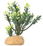 Hobby Terrano Euphorbia Maat M, Nieuw, Ophalen of Verzenden