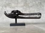 sculptuur, Brown Gharial Crocodile Skull, on custom stand -, Antiek en Kunst