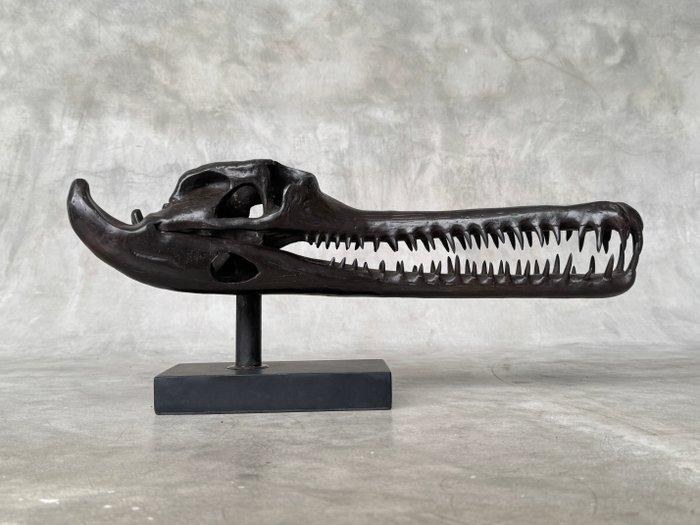 sculptuur, Brown Gharial Crocodile Skull, on custom stand -, Antiek en Kunst, Kunst | Designobjecten