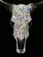 Geen reserveprijs - Prachtige koe schedel met
