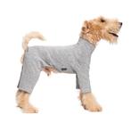 Comfort Jumpsuit voor Honden Grijs (Hondenkleding), Ophalen of Verzenden, Nieuw, Hondentrainingspak