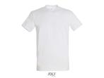 T-shirt Crusader Wit, Nieuw, Overige maten, Overige kleuren