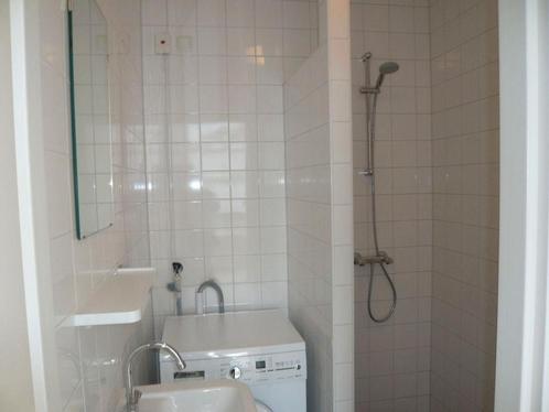 Te huur: Appartement Brasserskade in Delft, Huizen en Kamers, Huizen te huur, Zuid-Holland, Appartement