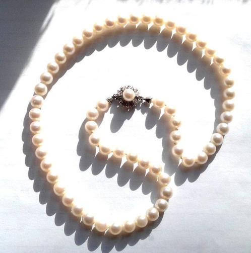 Zonder Minimumprijs - Halsketting 14 kt witgoud - Akoya, Sieraden, Tassen en Uiterlijk, Kettingen