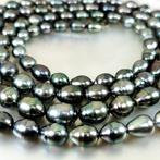 Halsketting Zilver Parel - Tahiti 125 cm Ø 8 tot 10 mm, Nieuw