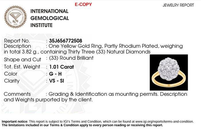 Ring - 18 karaat Geel goud, Gepolijst rhodium - 1.01ct. tw., Sieraden, Tassen en Uiterlijk, Ringen