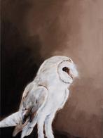 Matthieu van Riel - White Owl