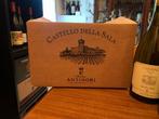 2022 Cervaro della Sala Antinori - Umbrië - 6 Flessen (0.75, Nieuw