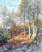 Juan Antonio Falcó Pintado (1947) - El bosque impresionista