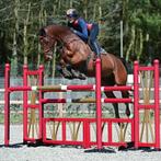 Hindernis Oxer, Verzenden, Nieuw, Springen