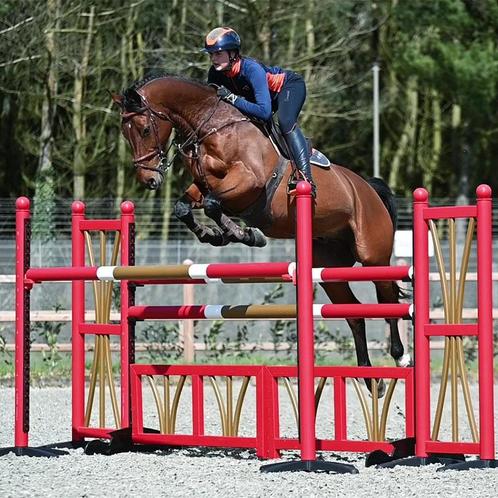 Hindernis Oxer, Dieren en Toebehoren, Paarden en Pony's | Overige Paardenspullen, Springen, Nieuw, Verzenden