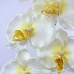 PANDA ORCHIDEE SPRAY CREAM PANDA ORCHIDEE SPRAY CREA, Ophalen of Verzenden, Nieuw