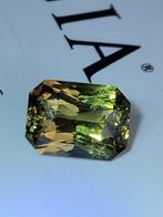 1 pcs Groen, Geel Alexandriet - 4.27 ct - Gemological, Nieuw