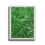 N. Magro -  Grass Green ”