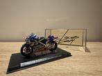 MotoGP - Daijiro Kato - 2001 - Schaal 1/18 model motorfiets, Nieuw