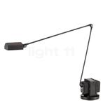 Lumina Daphine Tavolo LED, soft-touch zwart - 3.000 K, Verzenden, Nieuw