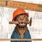 Merkloos Kalender Crazy Dogs 2025, Verzenden, Nieuw