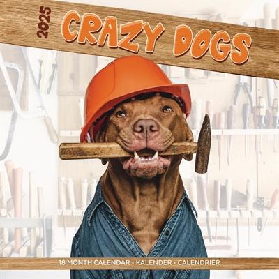 Merkloos Kalender Crazy Dogs 2025, Dieren en Toebehoren, Honden-accessoires, Nieuw, Verzenden