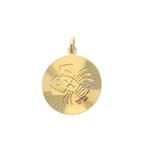 Gouden sterrenbeeld hanger; Kreeft (geelgoud, astrologie), Ophalen of Verzenden, Gebruikt, Goud, Overige merken