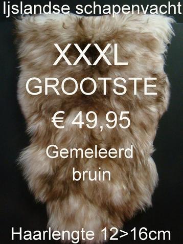 Schapenvacht IJSLANDSE Gemeleerde Bruin GROOT XXXL € 49,95 beschikbaar voor biedingen