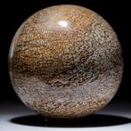 Extreem kostbaar - - Fossiel fragment - Large Sphere in, Nieuw