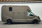 Ford Transit Krismar Horsetruck, Verzenden, Nieuw